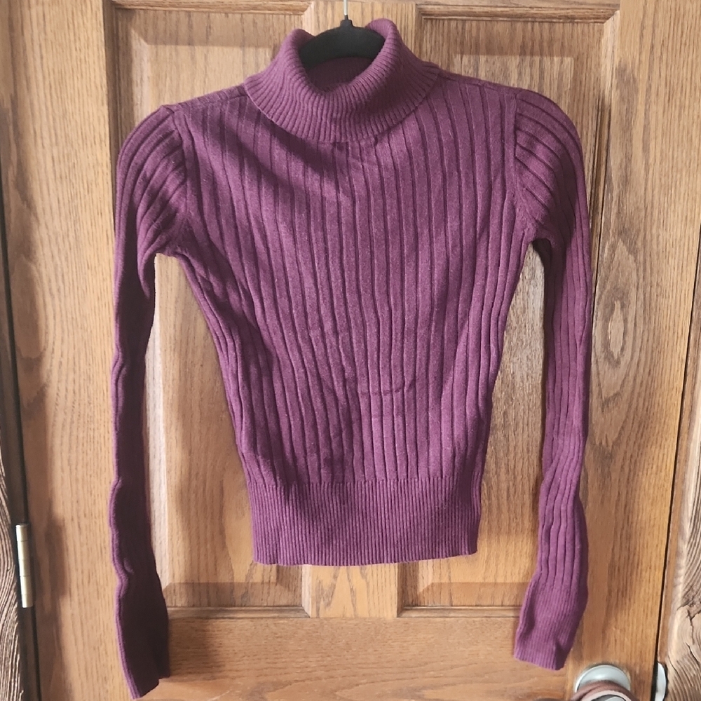 Women's Ribbed Turtleneck Sweater - Purple